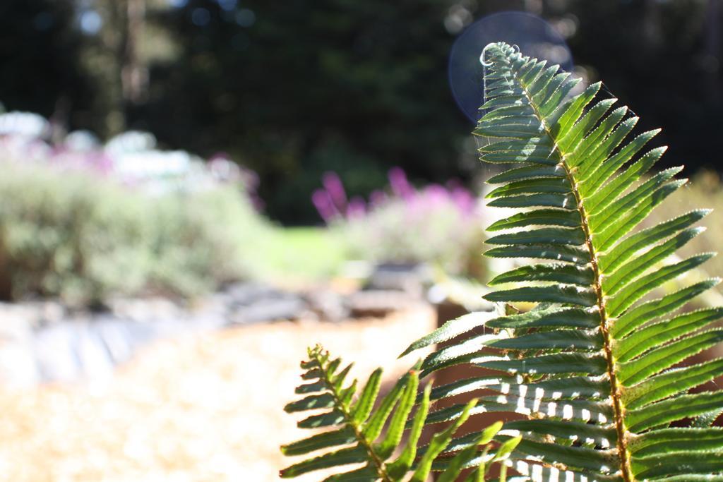 Mendocino Inn & Spa Little River Екстериор снимка